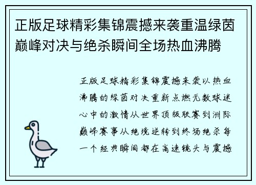 正版足球精彩集锦震撼来袭重温绿茵巅峰对决与绝杀瞬间全场热血沸腾