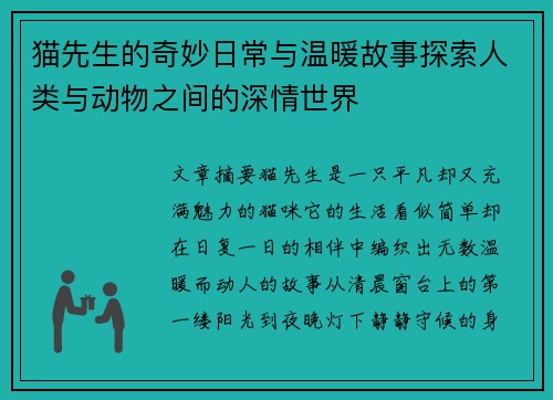 猫先生的奇妙日常与温暖故事探索人类与动物之间的深情世界